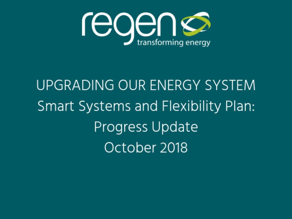 A Progress Update to the Smart Systems and Flexibility Plan