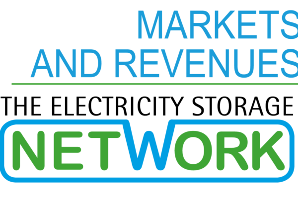 ESN working group: Markets and Revenues