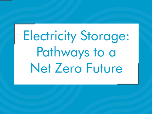 Electricity Storage: Pathways to a Net Zero Future