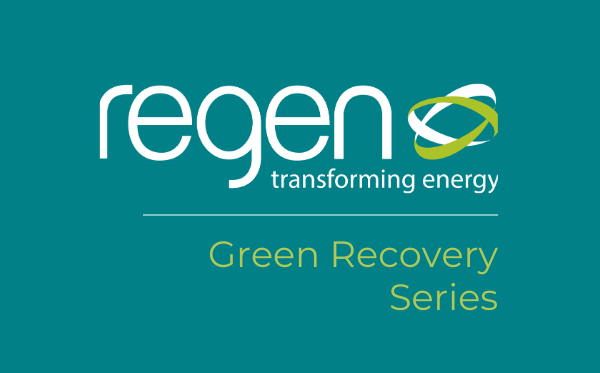 Green Recovery Series: Unlocking the investment to build back greener
