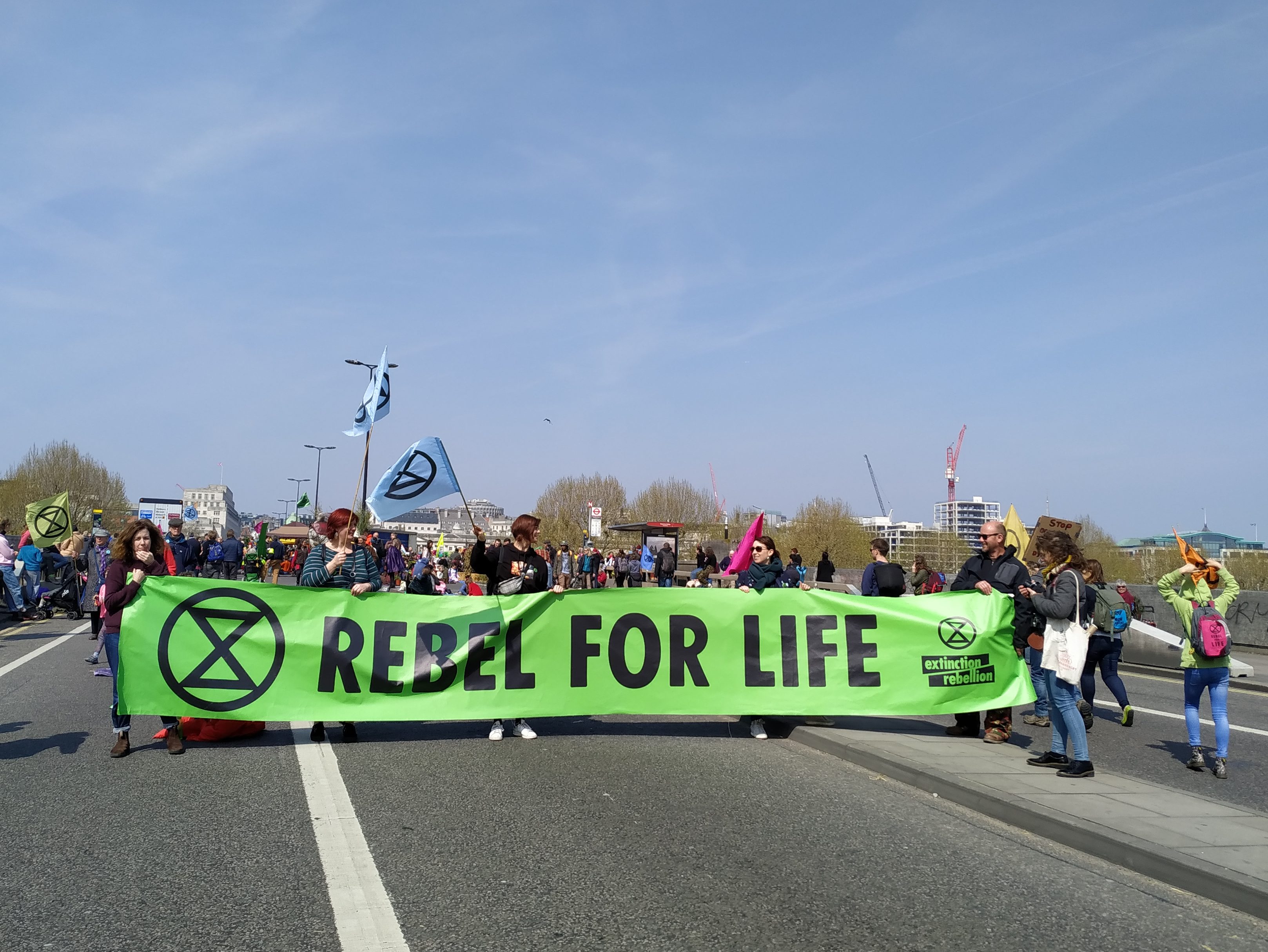 Climate protests gather momentum