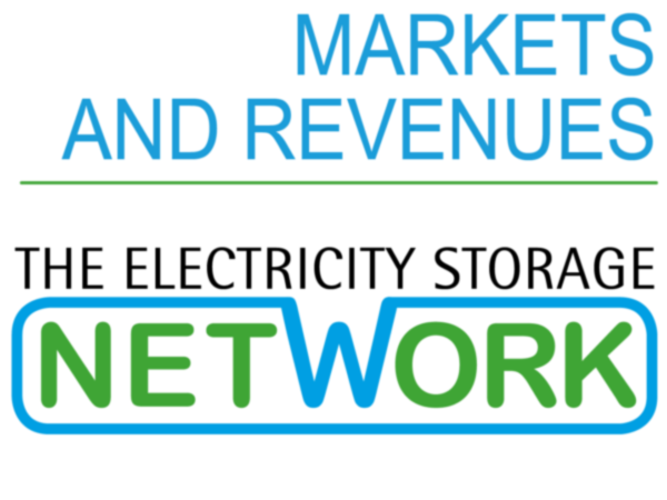 ESN welcomes new Markets and Revenues chair