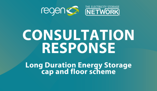 Consultation response: Long Duration Energy Storage cap and floor scheme