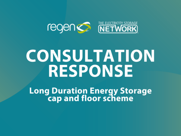 Consultation response: Long Duration Energy Storage cap and floor scheme
