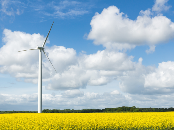 Briefing note: Developing Local Partnerships for Onshore Wind in England