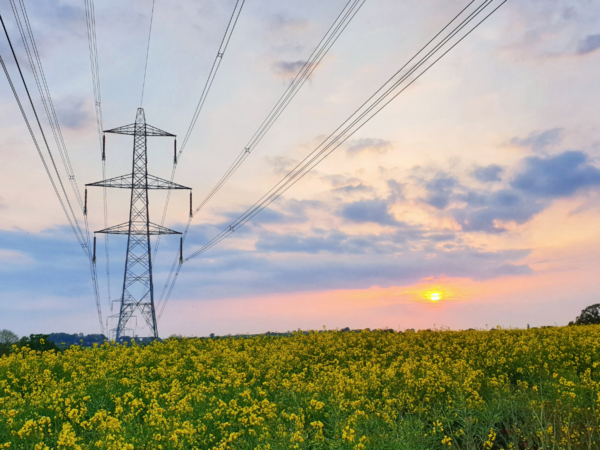 Community benefits for transmission infrastructure: Regen’s view on the government’s plans