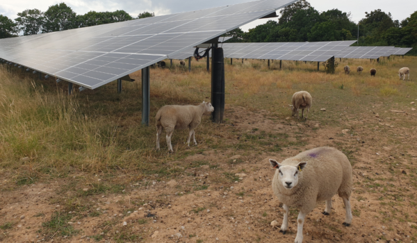 Solar farms and land use in a changing climate