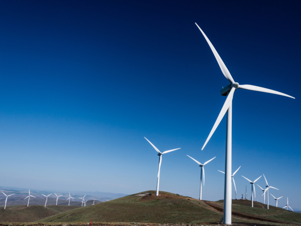 Let’s take advantage of low-cost renewables to create a hedge on energy price rises