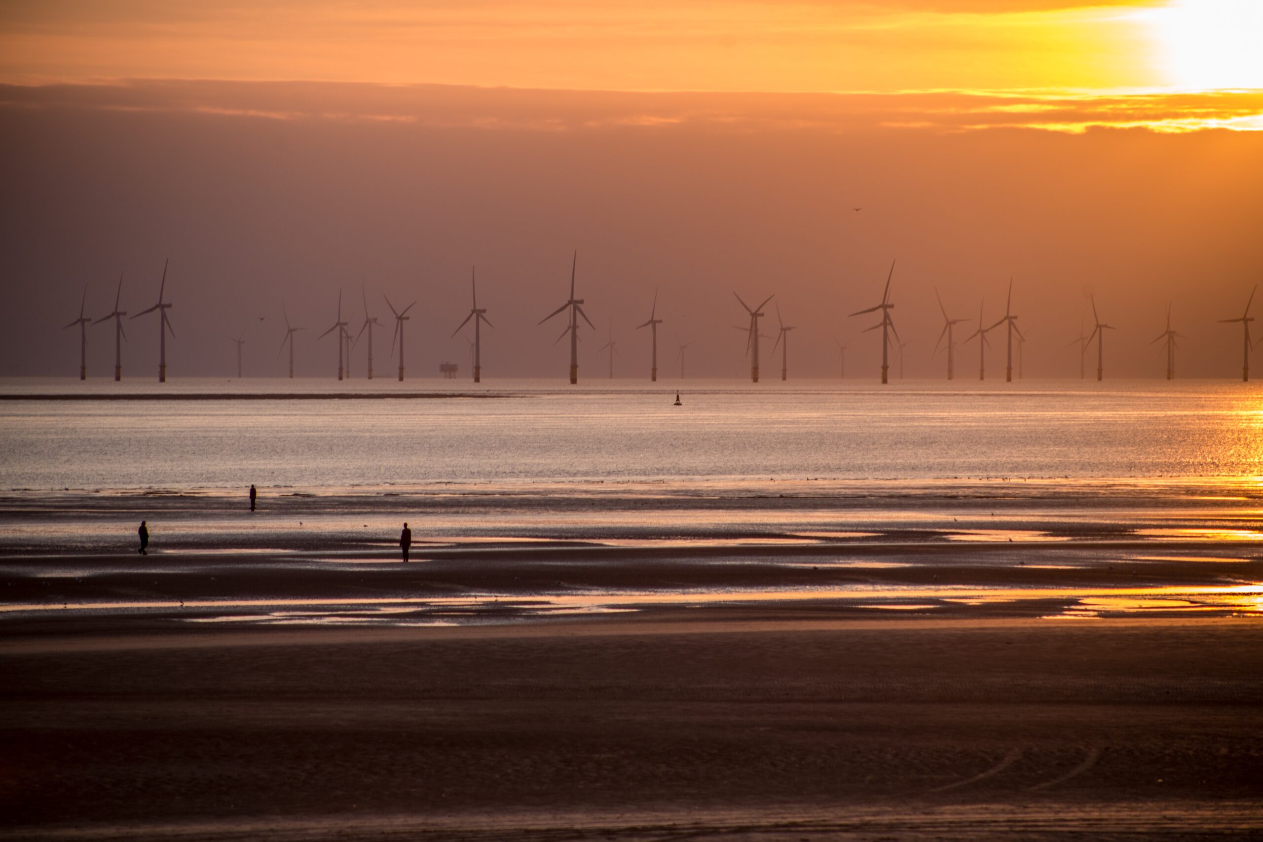 Insight Paper: Could the government be about to gamble away the UK’s leadership in offshore wind?