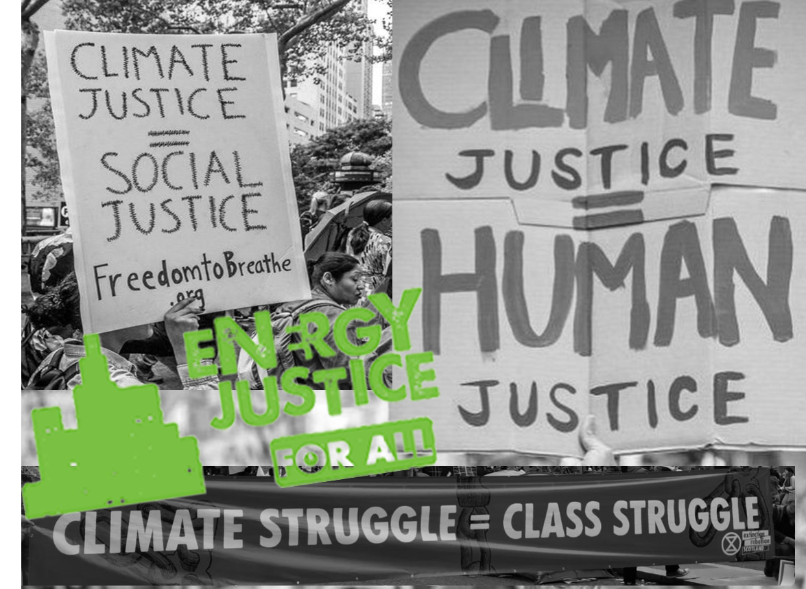 Equality, diversity and inclusion at Regen – working towards climate, social and racial justice