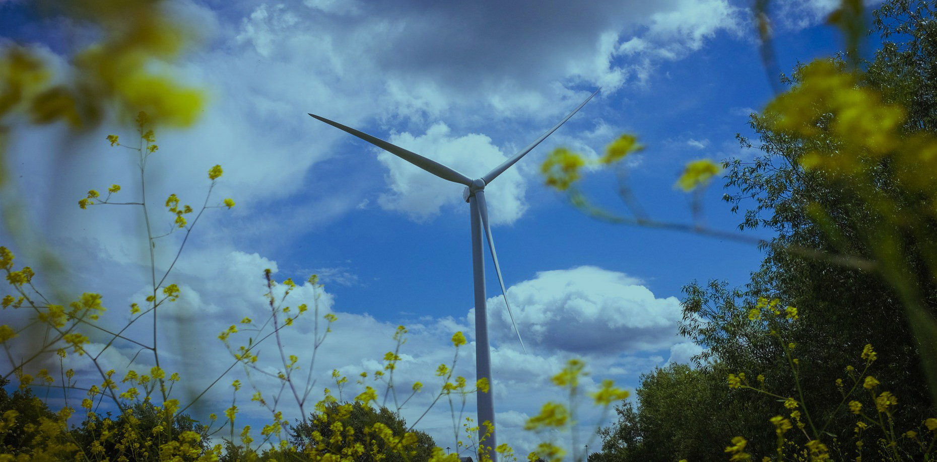 Government to re-open Contracts for Difference for onshore wind and solar