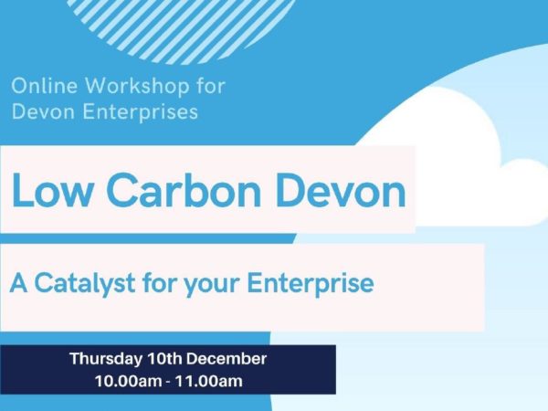 Low Carbon Devon Enterprise Online Workshop A Catalyst for your Enterprise