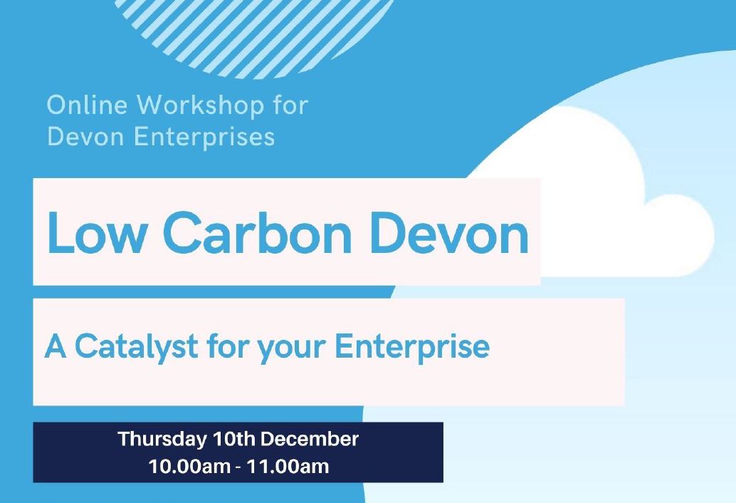 Low Carbon Devon Enterprise Online Workshop A Catalyst for your Enterprise